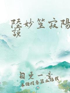 陆妙笙寂阳朔小说
