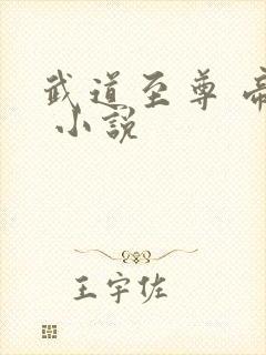 武道至尊 帝临 小说