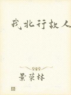 我北行故人南去