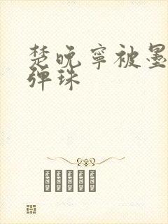 楚晚宁被墨燃塞弹珠