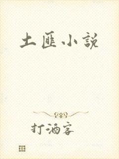 土匪小说