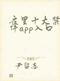 夜里十大禁用软件app入口