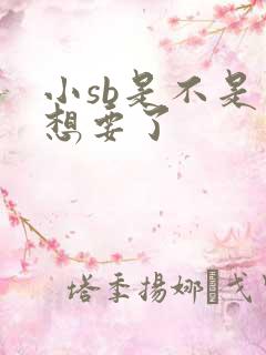 小sb是不是又想要了