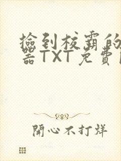 捡到校霸的遥控器TXT免费阅读