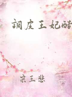 调皮王妃酷王爷