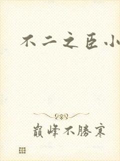 不二之臣小说