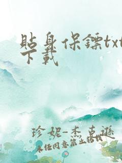 贴身保镖txt下载