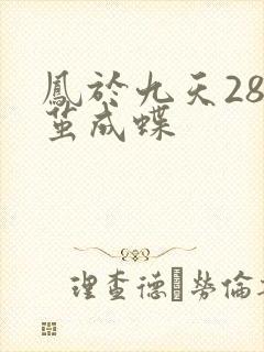 凤于九天28破茧成蝶