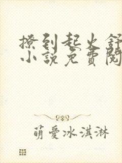 撩到起火舒漾的小说免费阅读全文