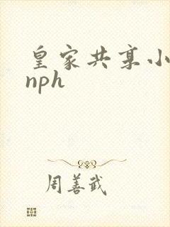 皇家共享小公主nph