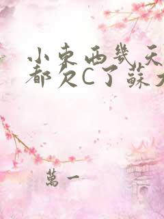 小东西几天没做都欠C了苏大深