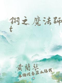 钢之魔法师txt