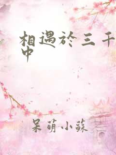 相遇于三千肉文中