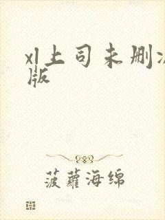 xl上司未删减版