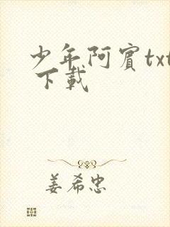 少年阿宾txt 下载