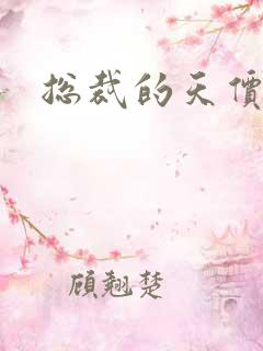 总裁的天价宝贝