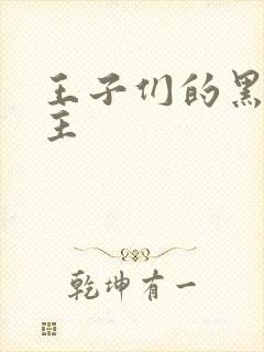 王子们的黑道公主