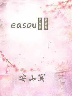 easouС˵