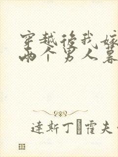 穿越后我嫁给了两个男人暮色酒歌