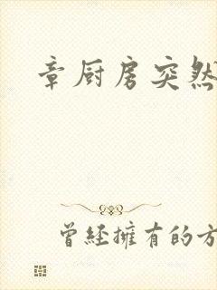 章厨房突然挺入