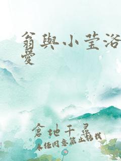 翁与小莹浴室欢爱