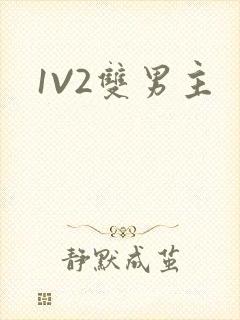 1V2双男主