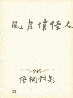 风月俏佳人下载