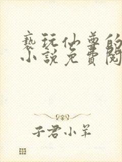 亵玩仙尊的道侣小说免费阅读