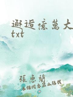 邂逅亿万大人物txt