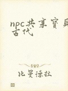 npc共享宝贝古代