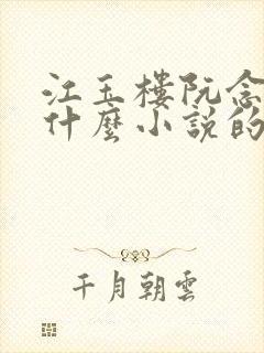 江玉楼阮念笙是什么小说的名字