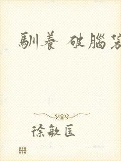 驯养 破脑袋