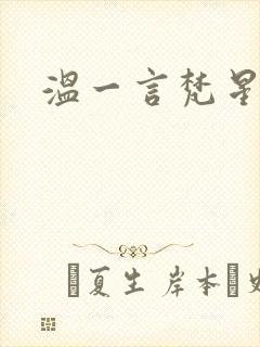 温一言梵星小说
