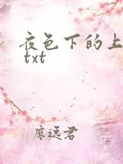 夜色下的上海滩 txt