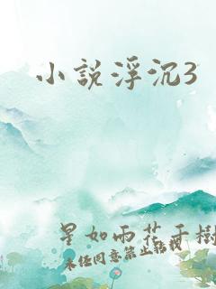 小说浮沉3