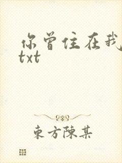 你曾住在我心上txt