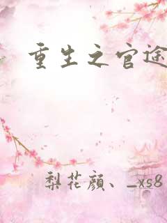 重生之官途辉煌