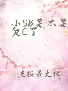 小SB是不是又欠C了