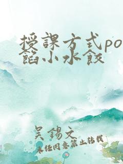授课方式po肉馅小水饺