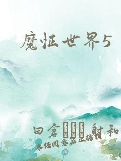 魔怔世界5