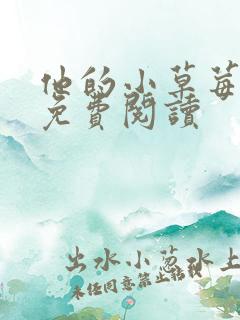 他的小草莓全文免费阅读