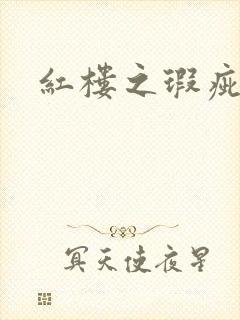 红楼之瑕疵