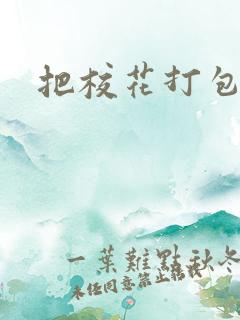 把校花打包带走