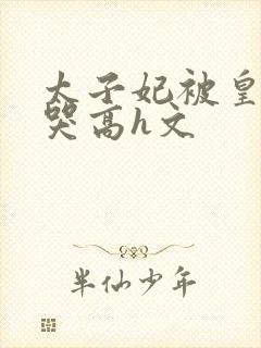 太子妃被皇上c哭高h文