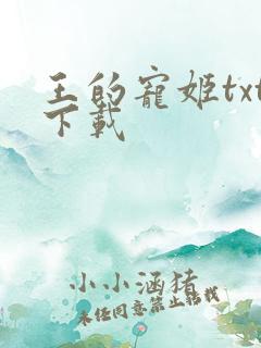 王的宠姬txt下载