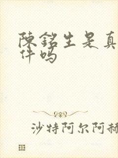 陈铭生是真实事件吗