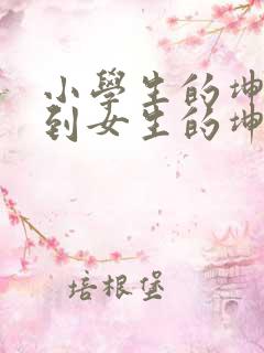 小学生的坤坤放到女生的坤里