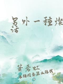 另外一种灿烂生活