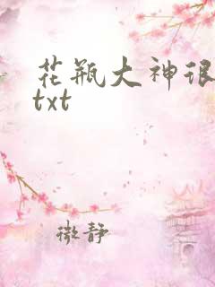 花瓶大神很菜鸟txt