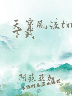 天宝风流txt下载